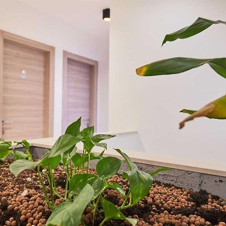 דוברובניק Boutique Garden Rooms מראה חיצוני תמונה