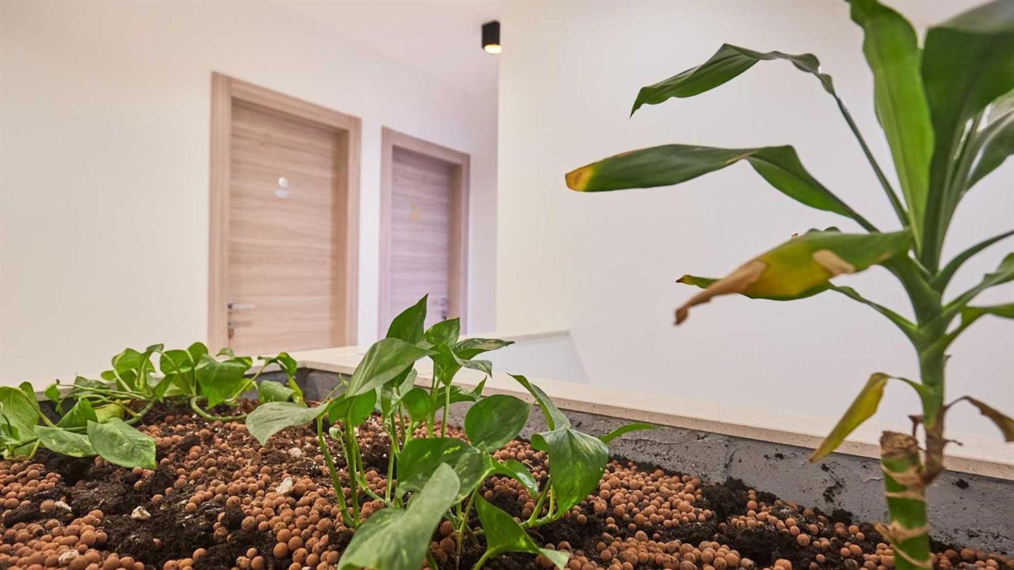 דוברובניק Boutique Garden Rooms מראה חיצוני תמונה